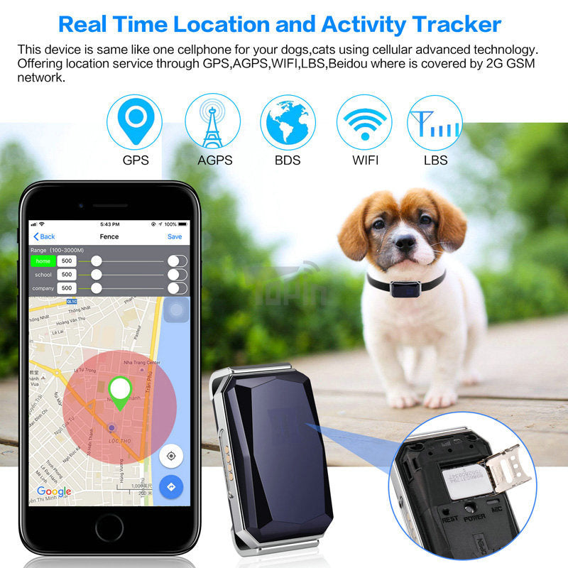 Aussie Pet GPS Collar Tracker – Find Your Dog Anytime, Anywhere | Free Shipping AUS-Wide