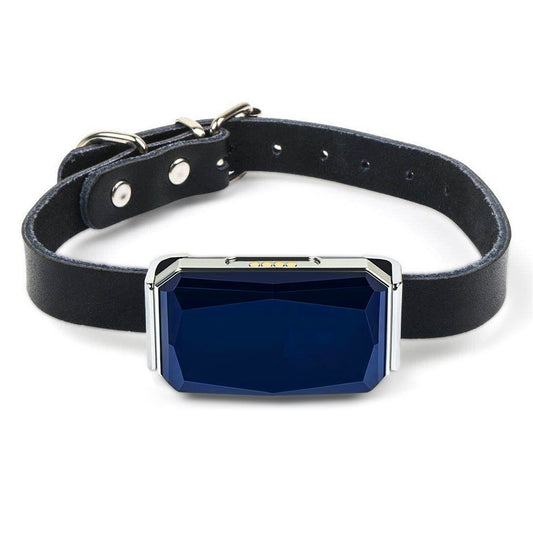 Aussie Pet GPS Collar Tracker – Find Your Dog Anytime, Anywhere | Free Shipping AUS-Wide